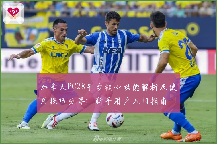 加拿大PC28平台核心功能解析及使用技巧分享：新手用户入门指南