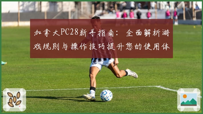 加拿大PC28新手指南：全面解析游戏规则与操作技巧提升您的使用体验