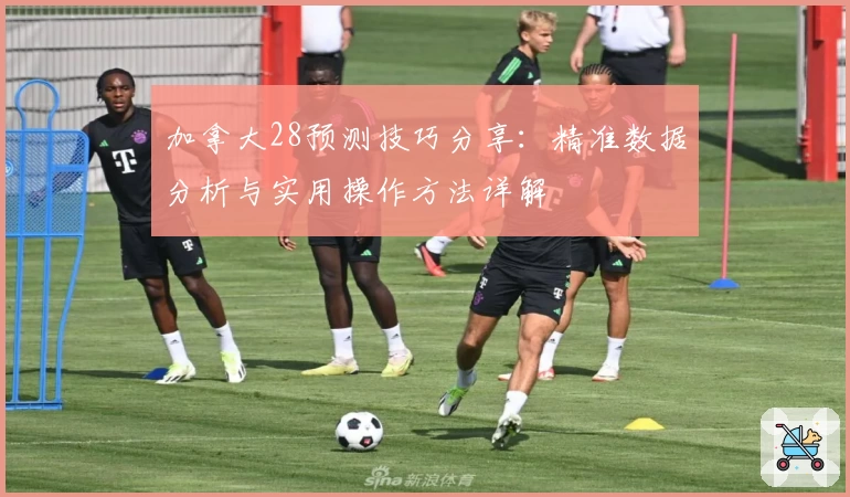 加拿大28预测技巧分享：精准数据分析与实用操作方法详解