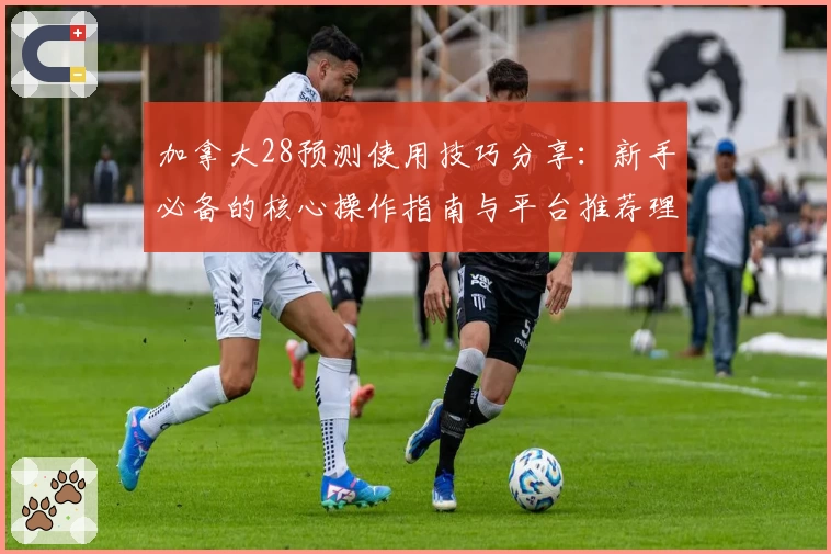 加拿大28预测使用技巧分享：新手必备的核心操作指南与平台推荐理由解析