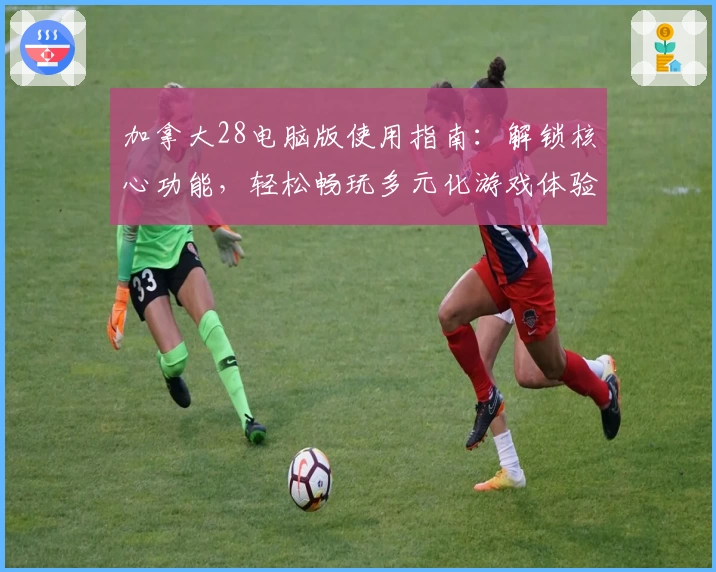 加拿大28电脑版使用指南：解锁核心功能，轻松畅玩多元化游戏体验