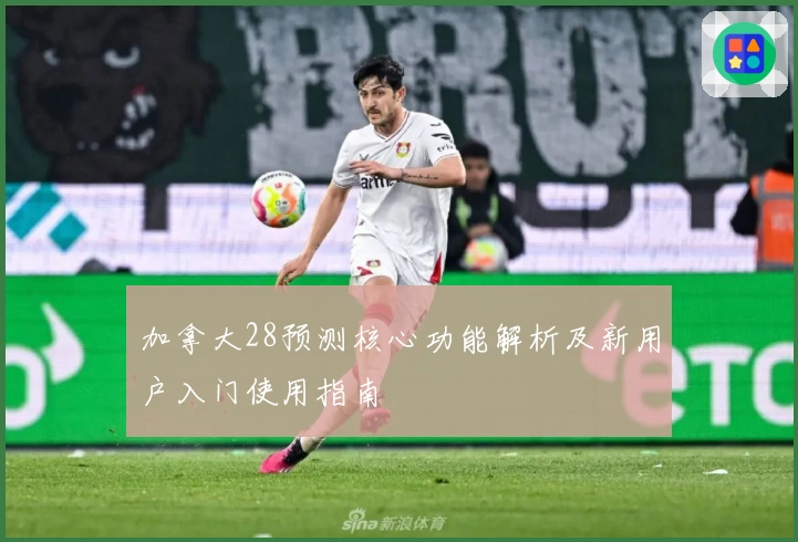 加拿大28预测核心功能解析及新用户入门使用指南