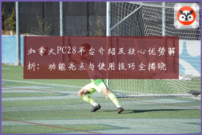 加拿大PC28平台介绍及核心优势解析：功能亮点与使用技巧全揭晓