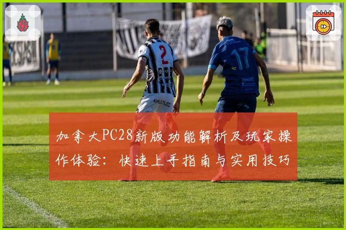 加拿大PC28新版功能解析及玩家操作体验：快速上手指南与实用技巧分享