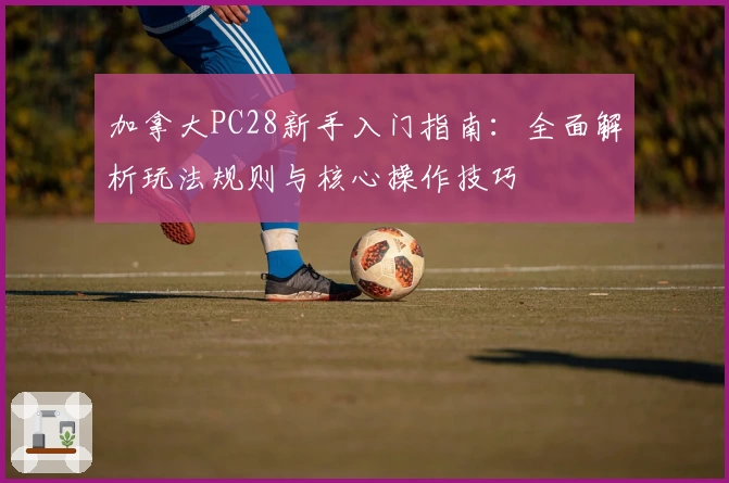 加拿大PC28新手入门指南：全面解析玩法规则与核心操作技巧