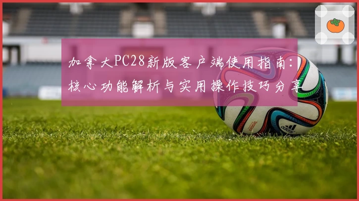 加拿大PC28新版客户端使用指南：核心功能解析与实用操作技巧分享