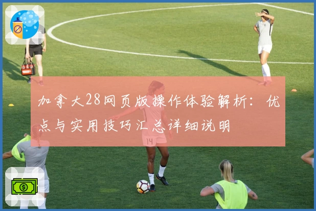 加拿大28网页版操作体验解析：优点与实用技巧汇总详细说明