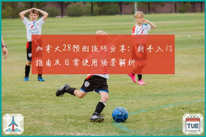 加拿大28预测技巧分享：新手入门指南及日常使用场景解析