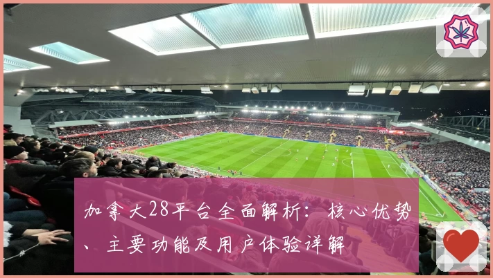 加拿大28平台全面解析:核心优势、主要功能及用户体验详解